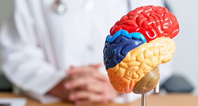 Установлена роль дофамина в хранении «плохих» воспоминании