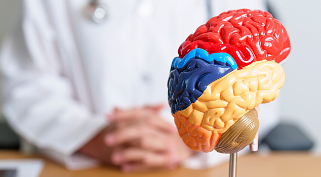 Ученые выяснили, ухудшаются ли мышление и память при менструации