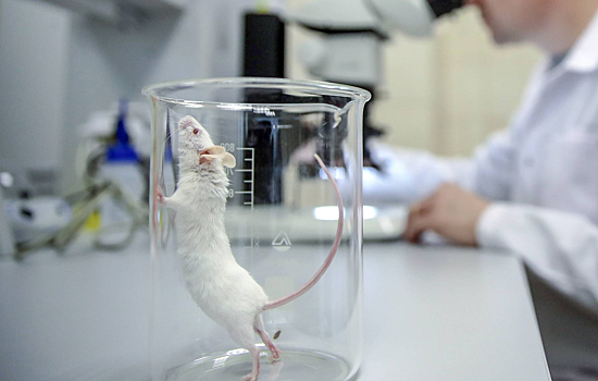 Стало известно, как беременность влияет на кишечник