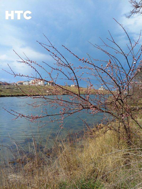 Весна приходит тихо — в деталях, в красках, в настроении Весна приходит тихо — в деталях, в красках, в настроении