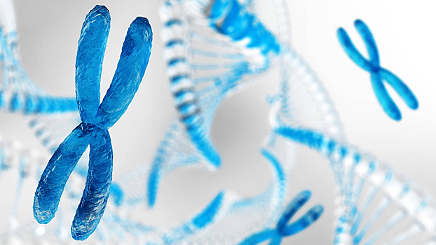 Раскрыт секрет устойчивости женского иммунитета