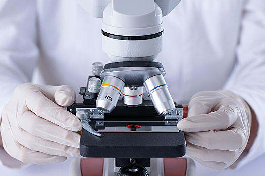 Ученые открыли новый механизм иммунитета