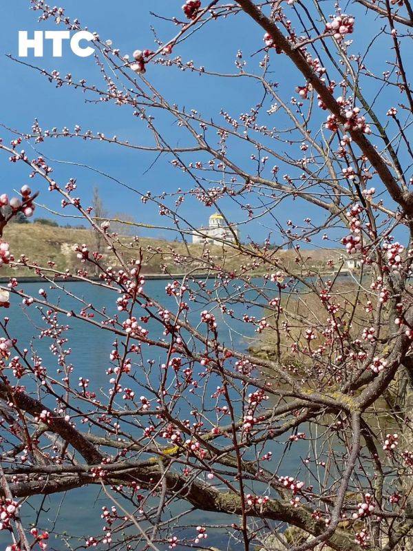 Весна приходит тихо — в деталях, в красках, в настроении Весна приходит тихо — в деталях, в красках, в настроении