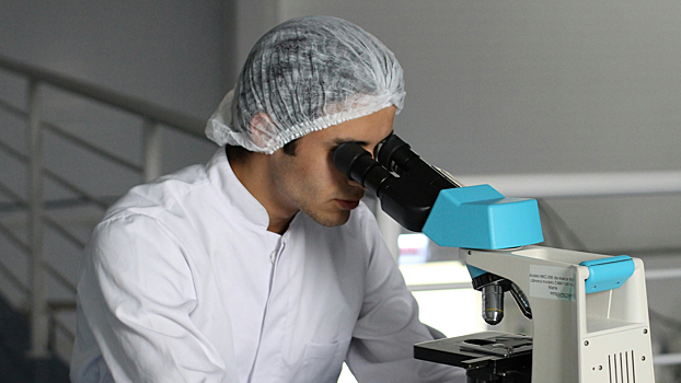 Создана технология, позволяющая улучшить восстановление поврежденных тканей