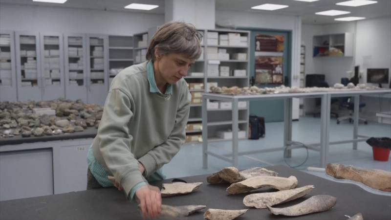 Люди стали делать костяные орудия на миллион лет раньше, чем считалось