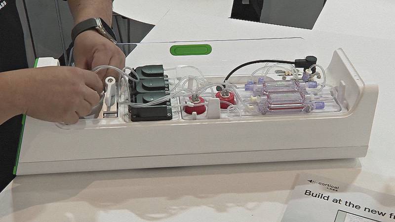 Первый в мире биологический компьютер разработал австралийский стартап