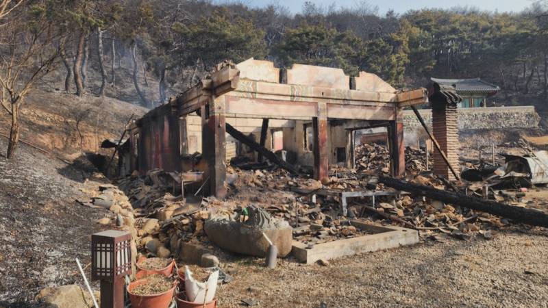 В Южной Корее полыхают более 20 лесных пожаров