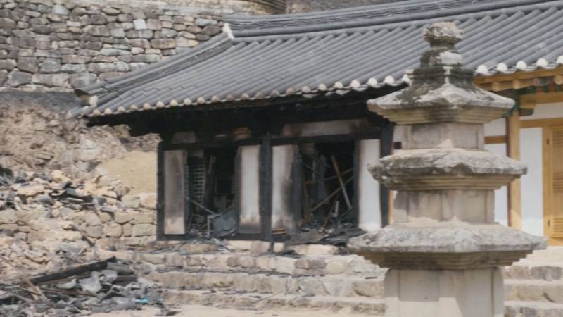 В Южной Корее растёт число погибших в результате лесных пожаров