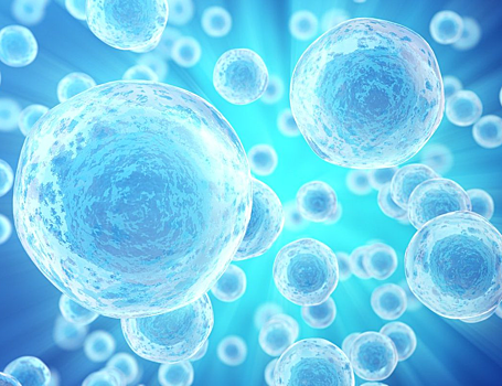 Объяснено, как работает главный энергетический «шлюз» клетки