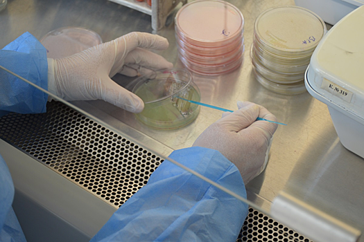 В России сообщили об изучении экзотических инфекций