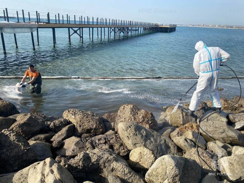 МЧС Рoccии продолжает работы по ликвидации последствий разлива нефтепродуктов при крушении танкеров в Керченском проливе