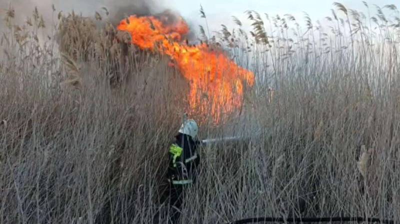 Под Феодосией потушили пожар в 300 "квадратов"