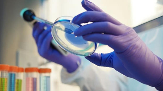 Как таяние льдов может привести к появлению древних смертельных болезней