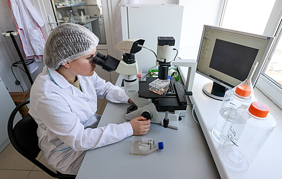 Российский алгоритм исследования белков превзошел зарубежные аналоги