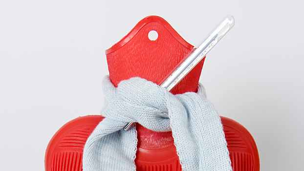 Ученые разработали вакцину против птичьего гриппа