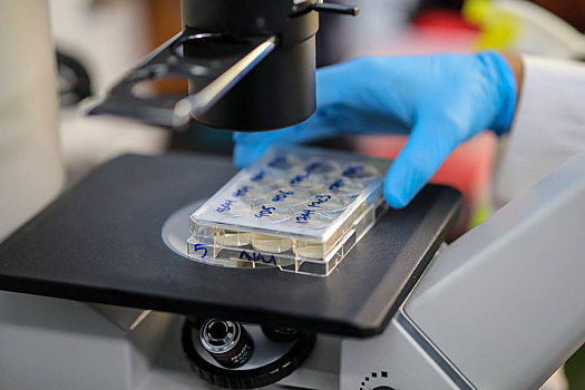 Ученые нашли способ избавиться от аллергии