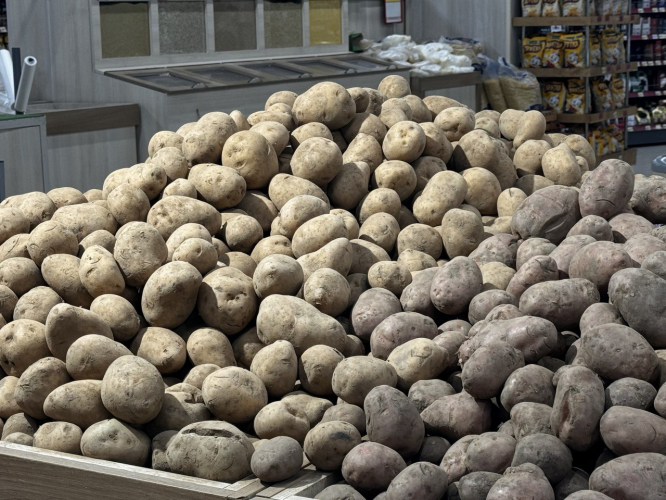 Сотрудники департамента сельского хозяйства и потребительского рынка провели мониторинг цен на картофель Сотрудники департамента сельского хозяйства и потребительского рынка провели мониторинг цен на картофель
