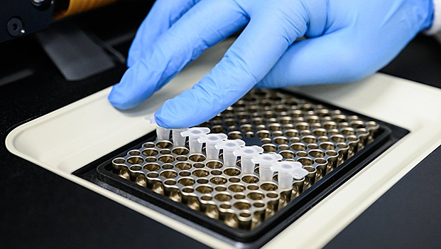 В России предложили новый способ лечить цистит