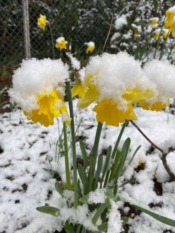 Сколько продлится непогода в регионах России: в Сибири ветер сносил крыши, а выпал снег