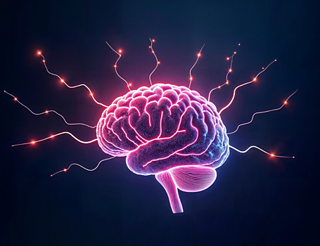 Ученые обнаружили связь переваривания триптофана с аутизмом