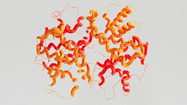 Ученые выяснили, как дофамин помогает нам в обучении