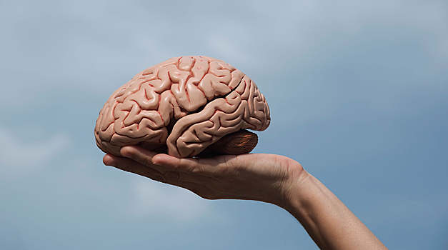 Найден ключ к лечению эпилепсии