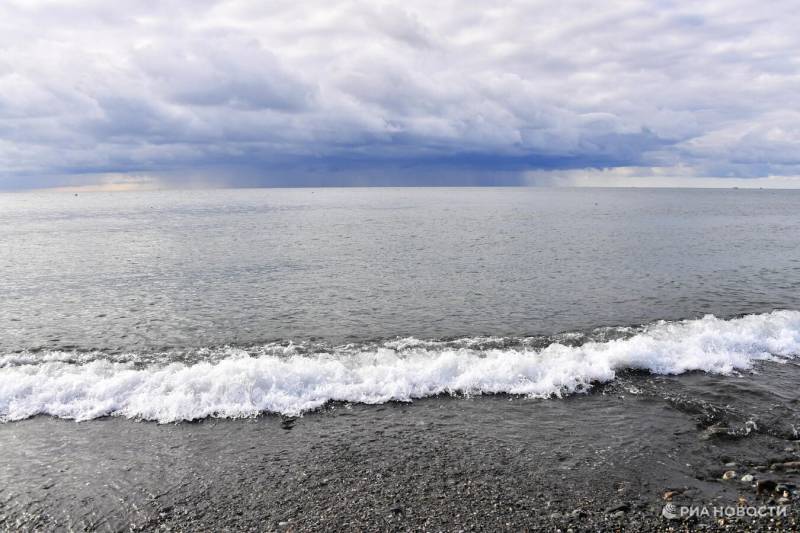 В Крыму с начала года обнаружили более ста погибших дельфинов В Крыму с начала года обнаружили более ста погибших дельфинов