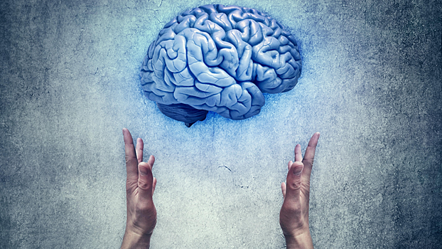 Создана замена твердой мозговой оболочки