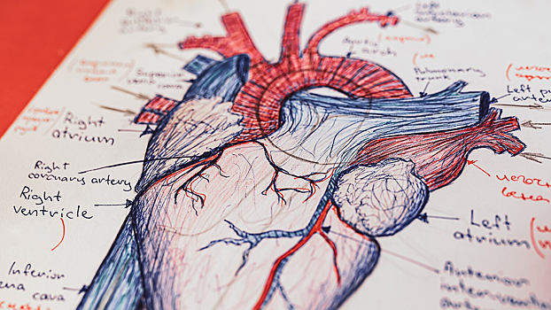 Совершен прорыв в диагностике наследственных болезней сердца