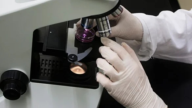 Обнаружены бактерии, которые не могут жить поодиночке