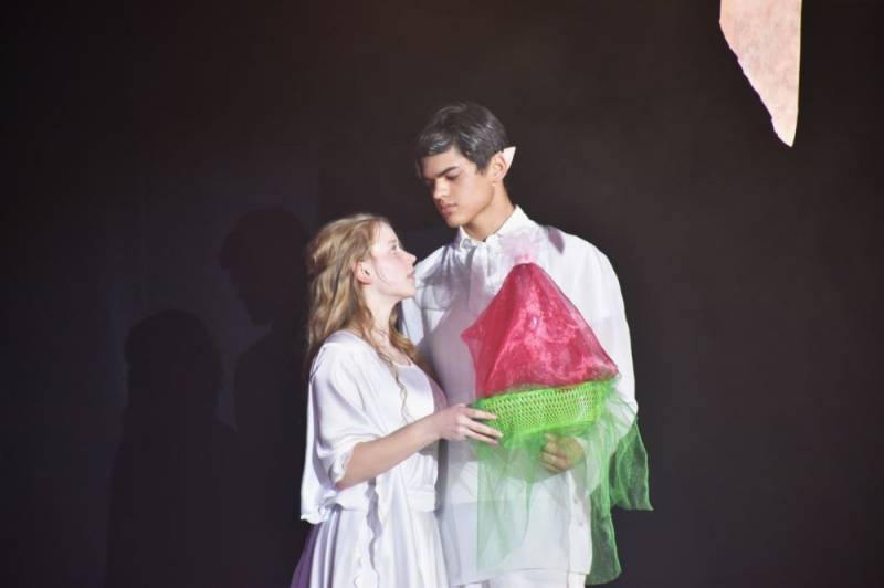 Театральный дебют: Студенты Севастополя представили уникальную версию «Дюймовочки»