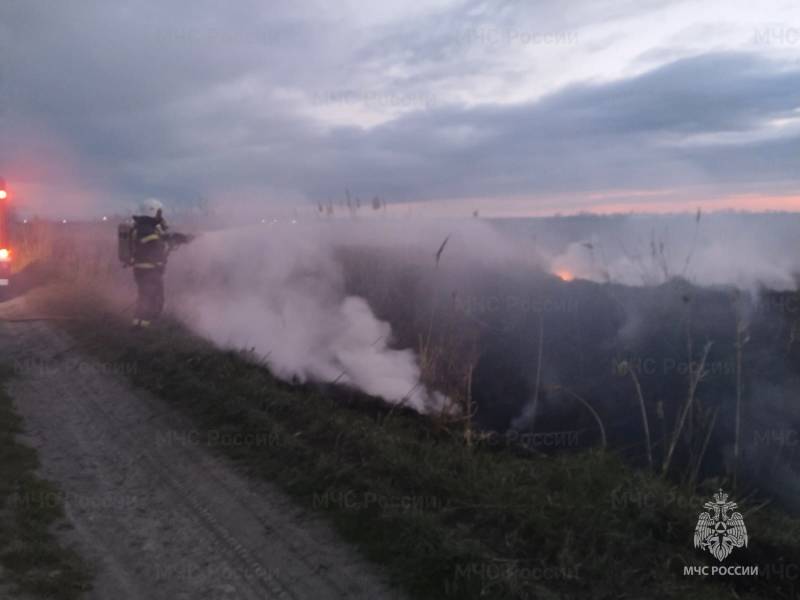 Итоги недели с 31 марта по 6 апреля