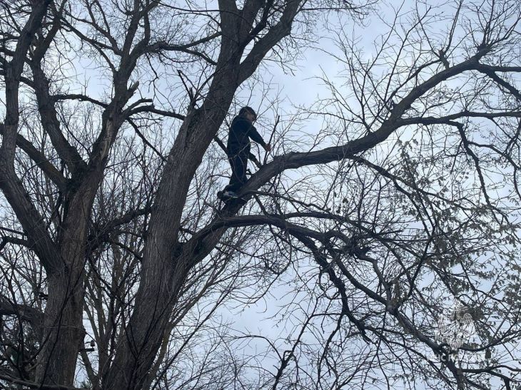 В Крыму спасатели сняли с дерева футболиста