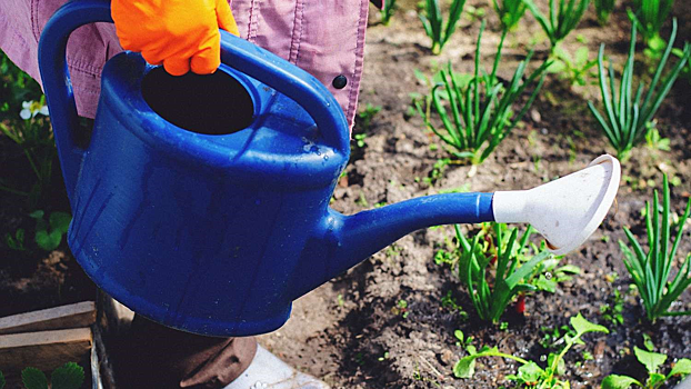 Ученые сообщили о загрязнении тяжелыми металлами сельхозугодий