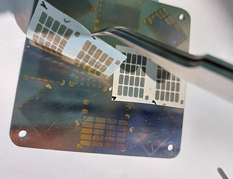 Созданы новые биосенсоры, способные быстро определять вирусы