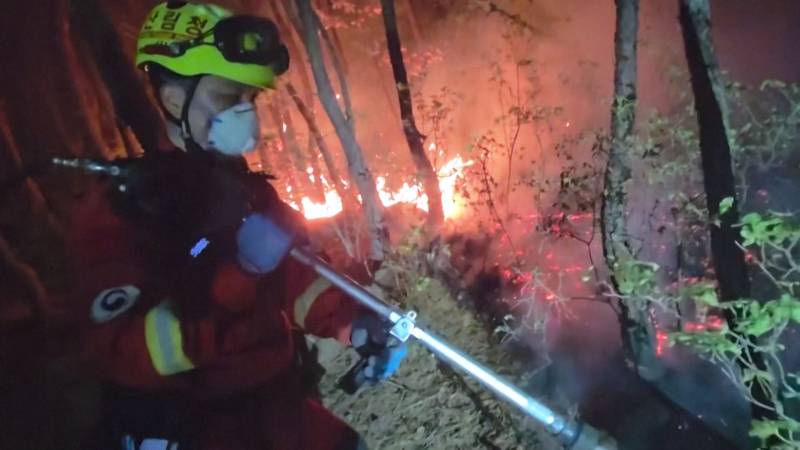 В Южной Корее снова тушат масштабный лесной пожар