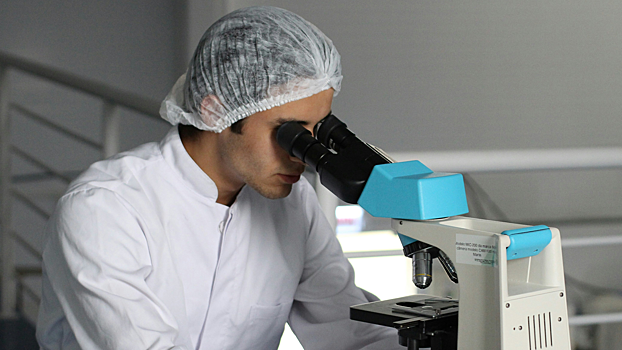 Выпущено первое международное руководство по методам транскриптомного анализа