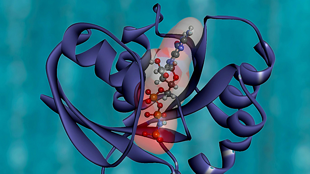 Раскрыт уникальный механизм белка, связанного с болезнью Паркинсона