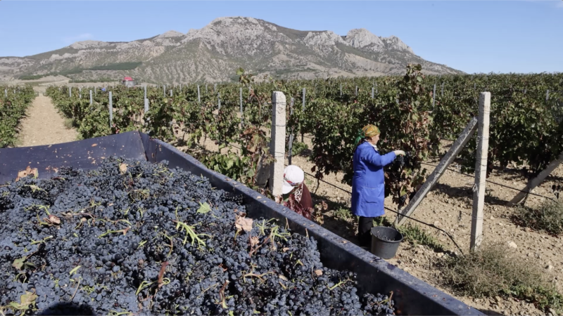 За 11 лет в экономику Крыма вложено более 2 трлн рублей