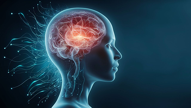 ИИ научился выявлять деменцию