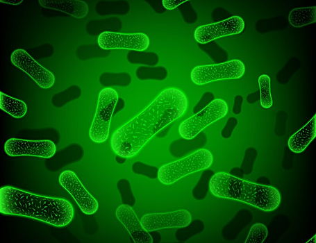 Найдена молекула, которая отключает защиту бактерий