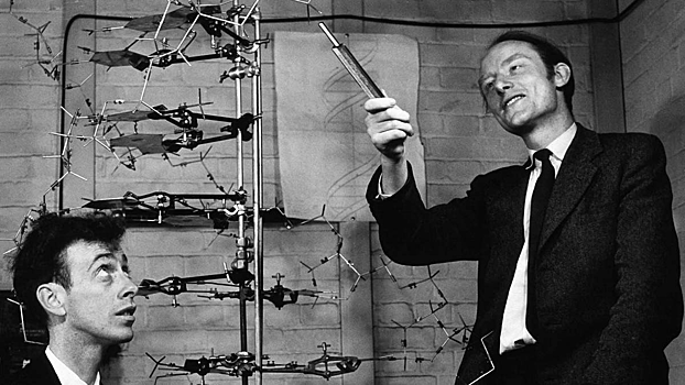 Что может предложить современная генетика