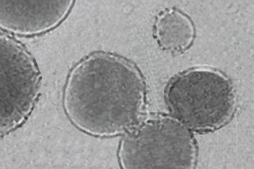 Ученые научились печатать 3D-структуры внутри живого тела