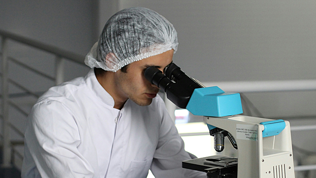 В России создали программное обеспечение для ранней диагностики рака