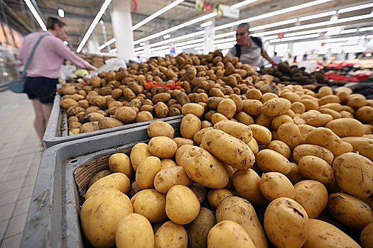 Белоруссия разрешила импорт картофеля из стран Евросоюза