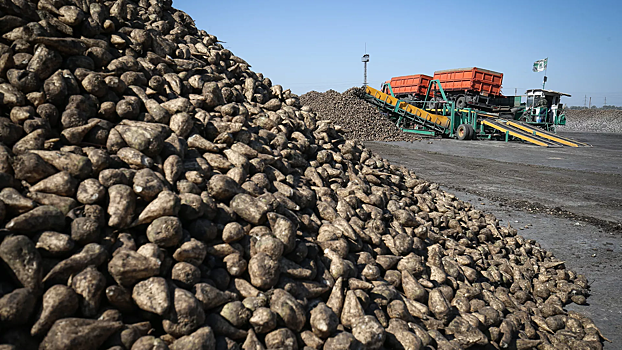 Заморозки уничтожили часть урожая в России