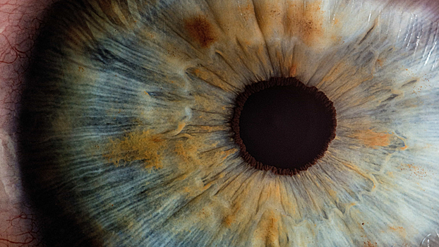 Выявлен фундаментальный предел скорости реакции глаз человека