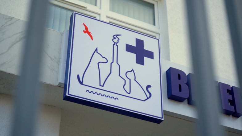 Госветслужба Севастополя проведет вакцинацию животных Госветслужба Севастополя проведет вакцинацию животных