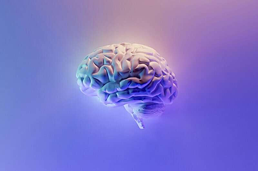 У подростков с ожирением нашли изменения в мозге