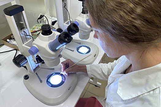 Чего ждать от отечественных производителей лекарств к 2030 году